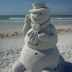 Team Page: Best Christmas Ever Florida
